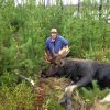 Shipping Meat from your BC Moose Hunt to the USA