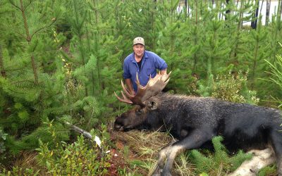 Shipping Meat from your BC Moose Hunt to the USA