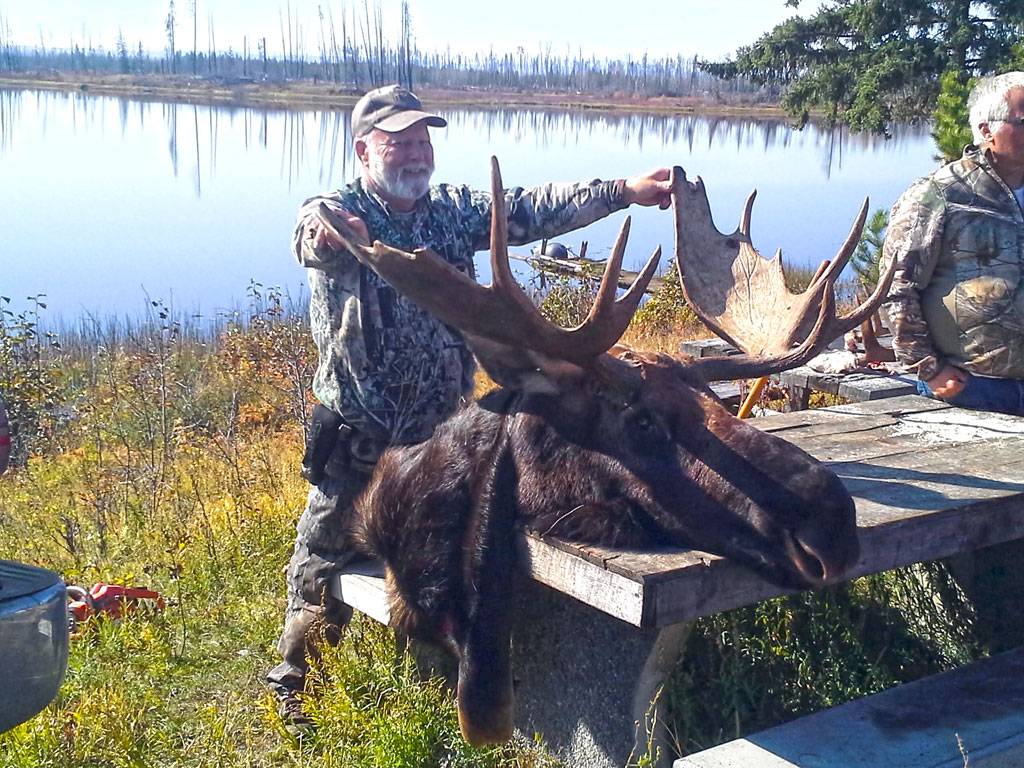 A happy hunter posing with a moose head with a large rack