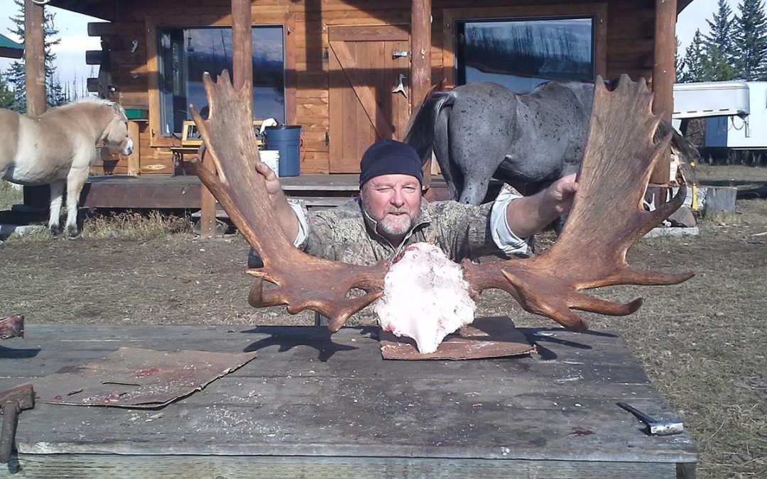 Will I Tag a Trophy Moose on my Guided BC Moose Hunt