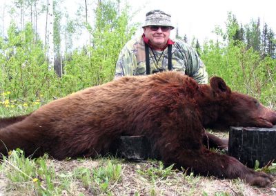 BC Black Bear Hunts