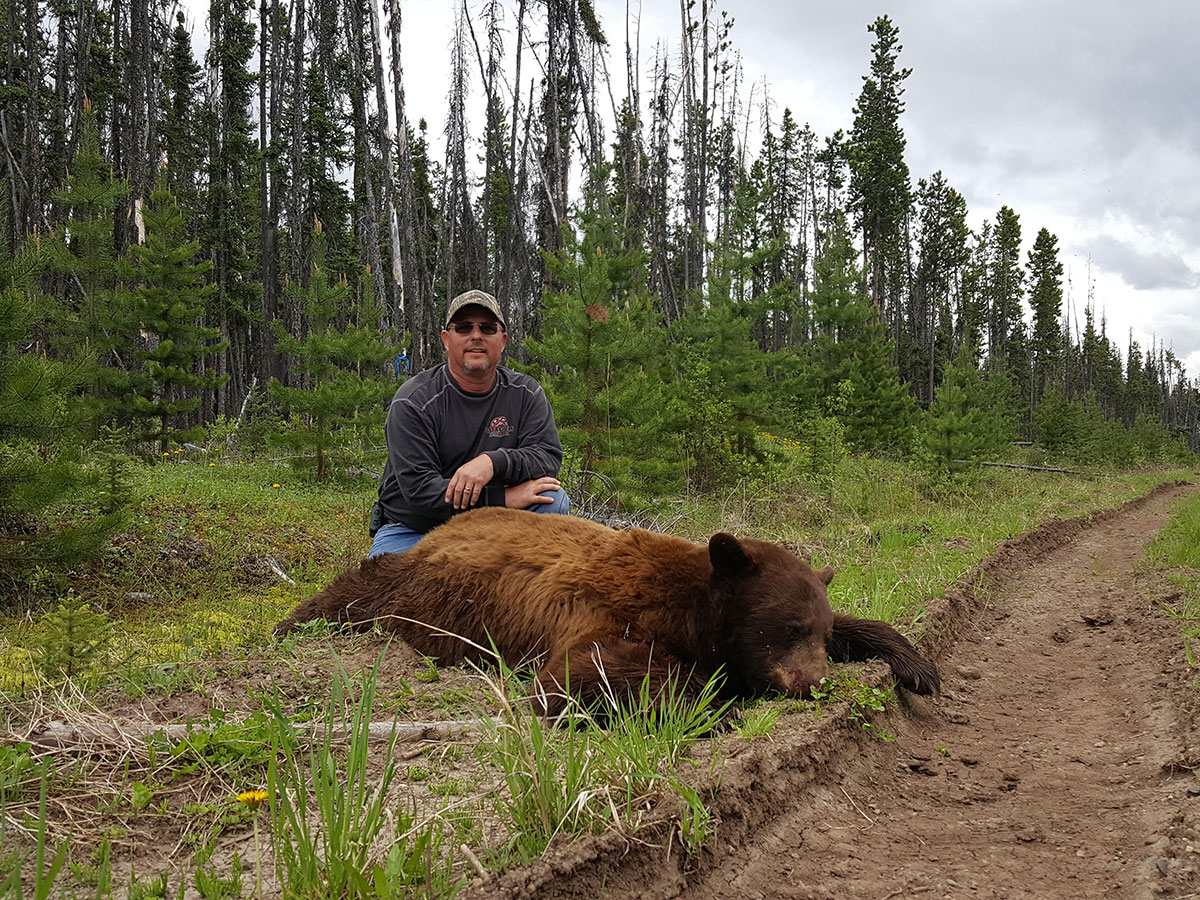 BC Color Phase Bear Hunt