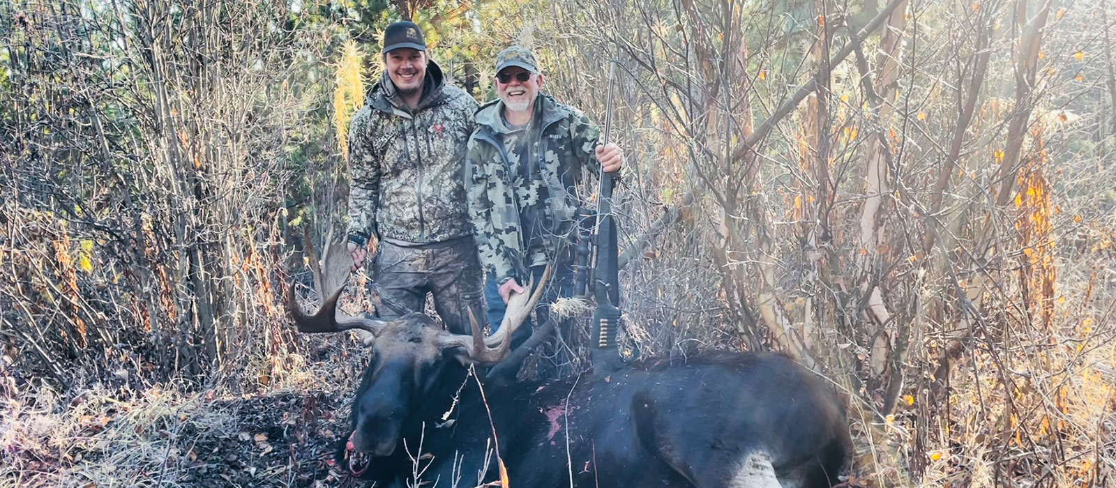 2024-moose BC Moose Hunting