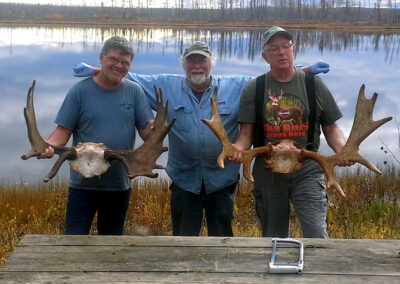 BC Moose Hunt
