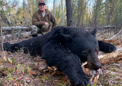 BC Bear Hunting