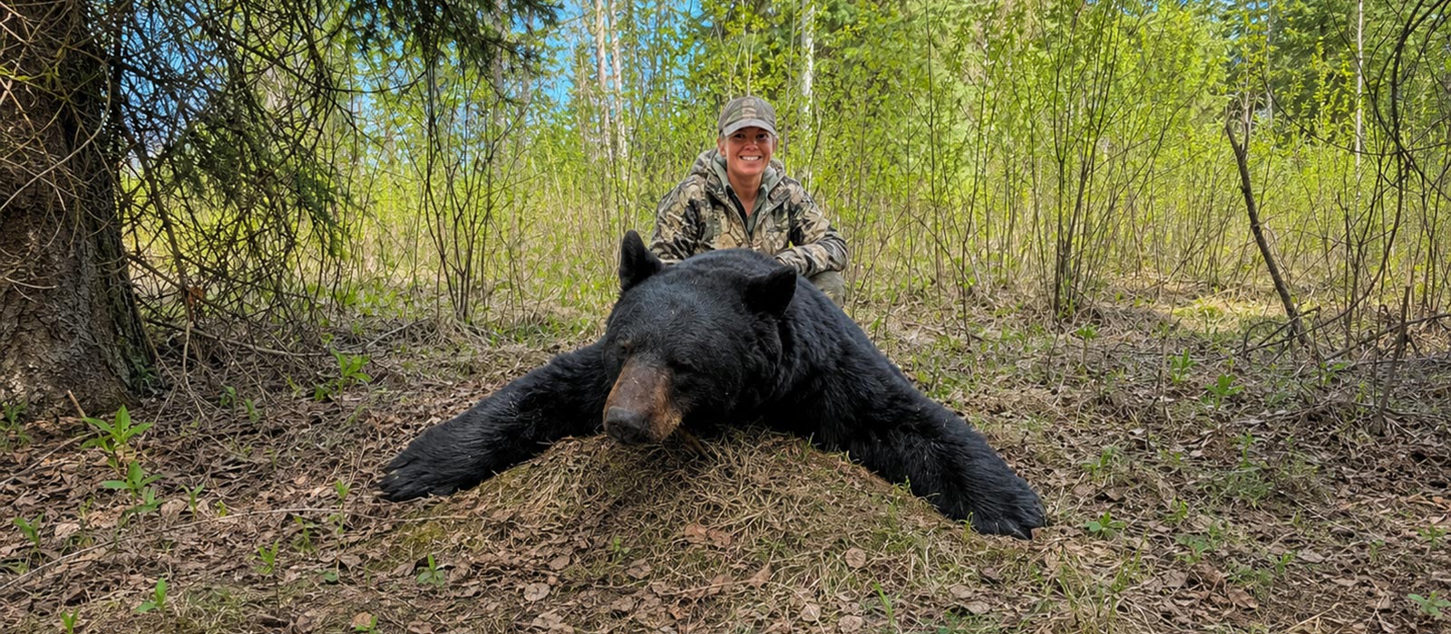 Black Bear Hunting in BC