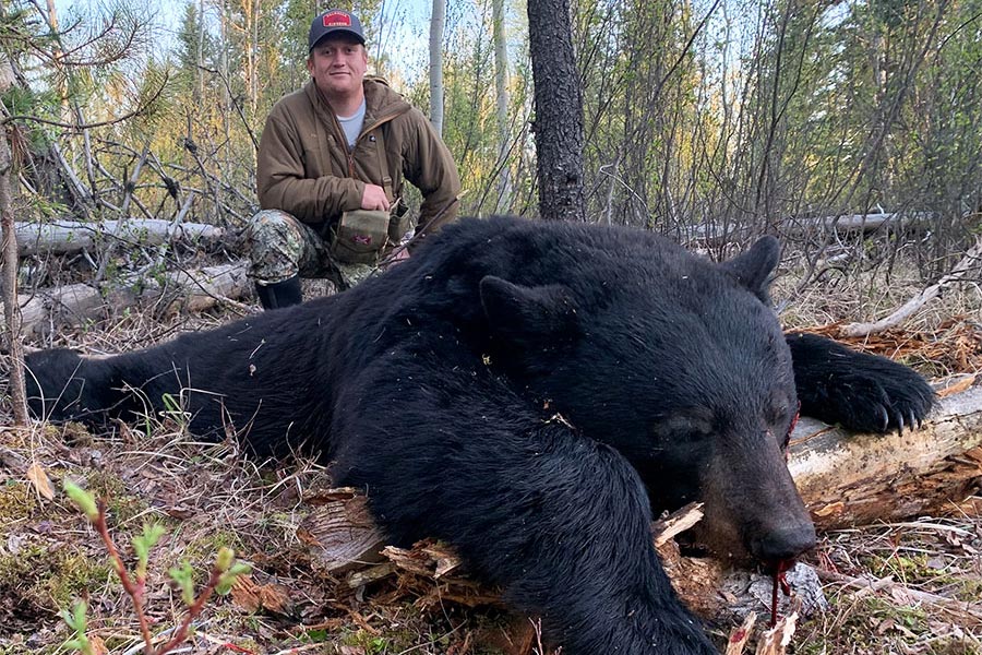 Black Bear Hunt in BC